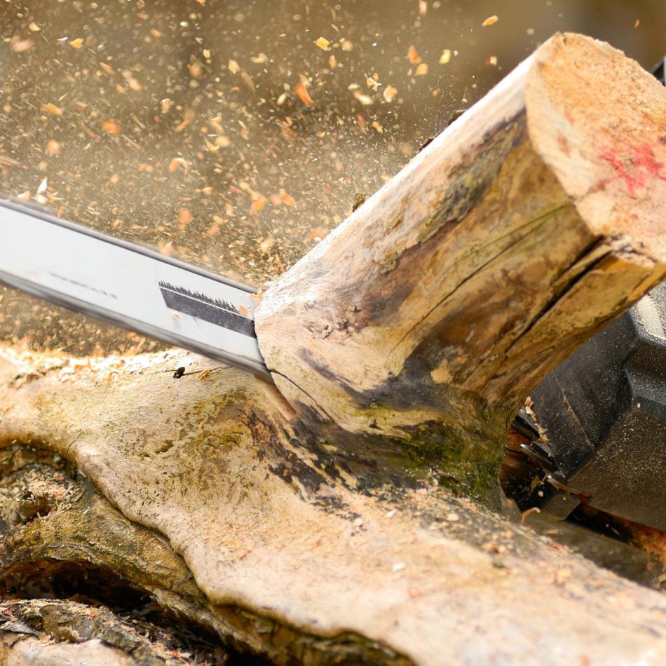 Cambridge Tree Felling Services
