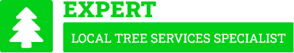 Cambridge Tree Removal - Tree Removal Cambridge